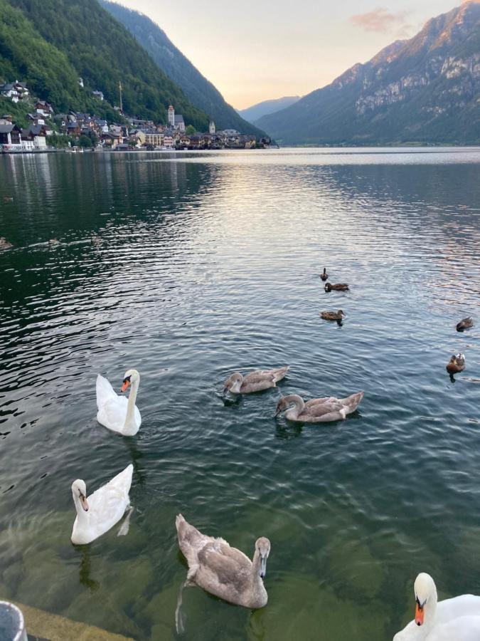 Lakeside 4 - Mit Balkon